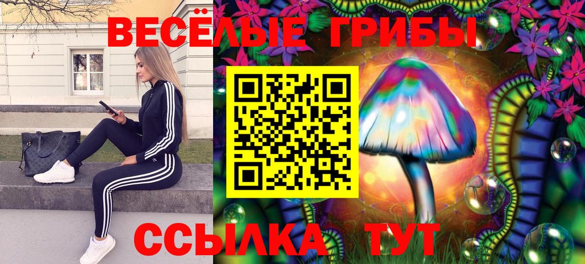Галлюциногенные грибы мицелий Похвистнево