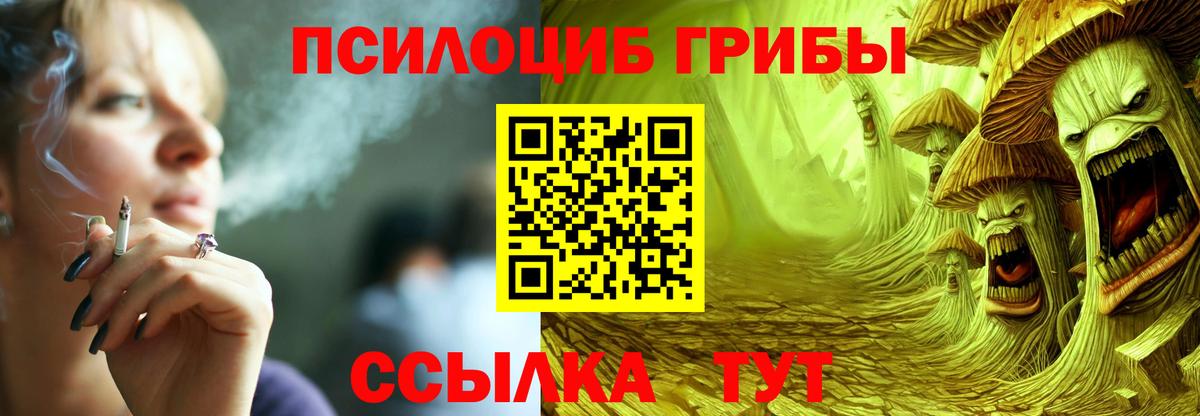 Похвистнево  Псилоцибиновые грибы ЛСД  Вход с VPN 